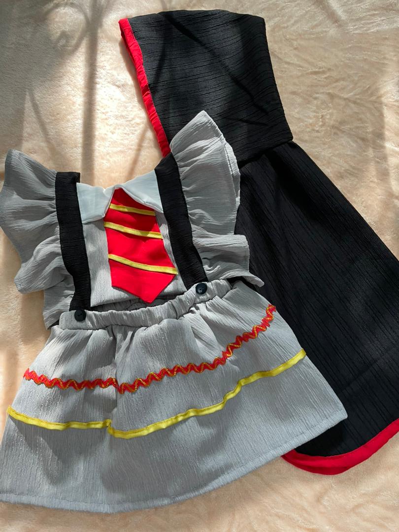 Conjunto Harry Potter